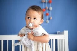 Puppe In Kostüm Hase Animal Doll MiniKiss Smoby 27 Cm Mit Klängen Ab 12 Monaten 26 Puppe In Kostüm Hase Animal Doll MiniKiss Smoby 27 Cm Mit Klängen Ab 12 Monaten -Smoby 210121 b f smoby babiky